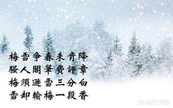 雪梅·其一
